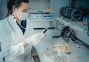 游戲軟件設計制作的技術服務采購指南